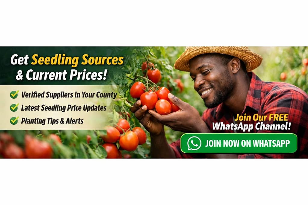 kenyan farmers WhatsApp channel