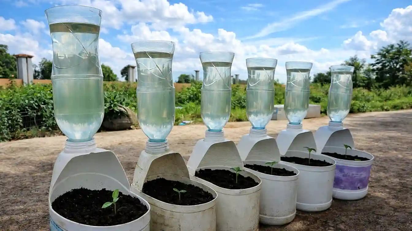A row of six innovative, DIY self-watering container planters crafted from repurposed plastic jugs and inverted bottles.