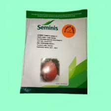 Anna F1Â seedlings in a packet