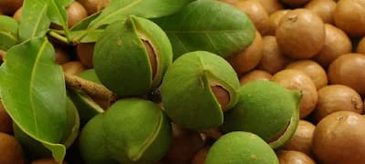 Murang'a 20 (MRG-20)