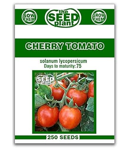 Cherry tomatoes